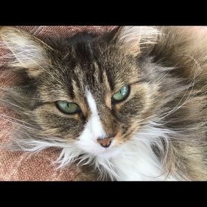 Meet your Posher, Karen